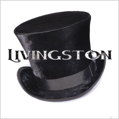 Livingston's cover