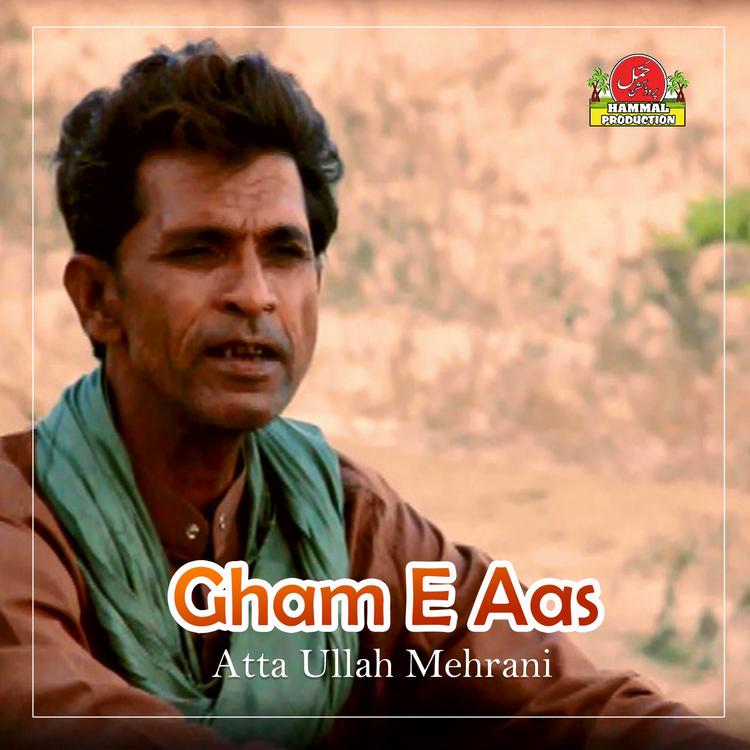 Atta Ullah Mehrani's avatar image