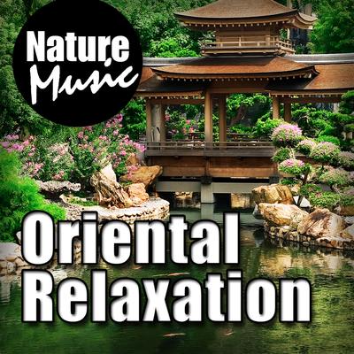 Oriental Relaxation (Nature Sounds with Chinese Music)'s cover