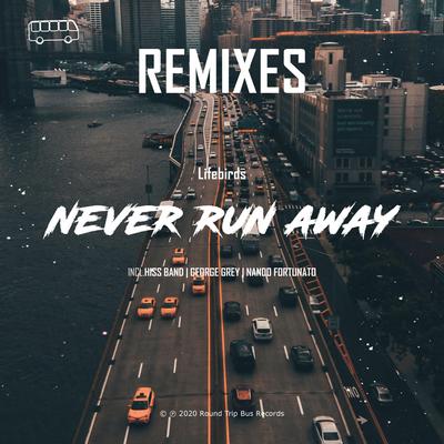 Never Run Away (Nando Fortunato Remix) By Lifebirds, Nando Fortunato's cover