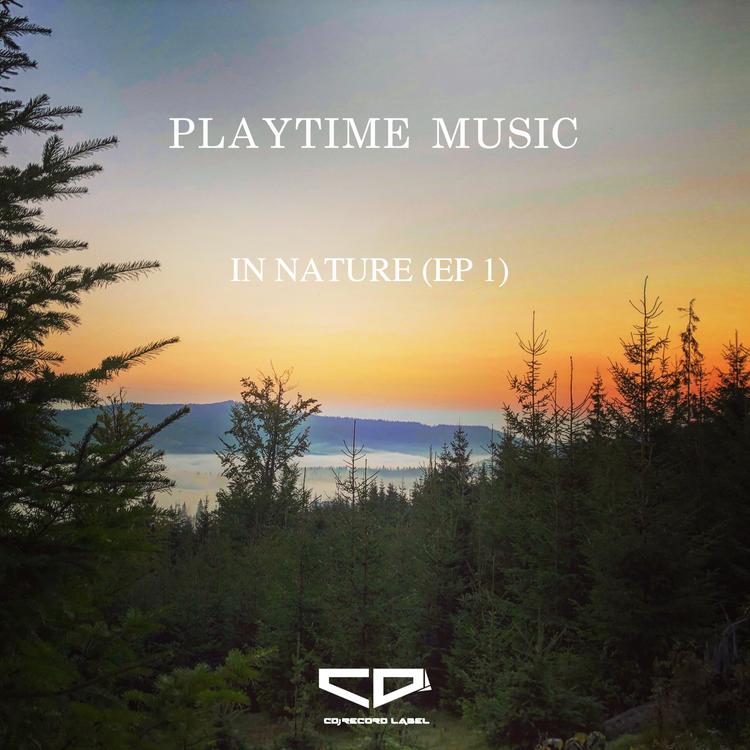 PlayTime Music's avatar image