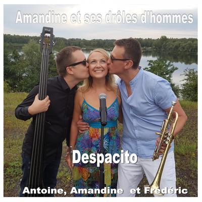 Despacito (Version Instrumentale Et Remixée)'s cover