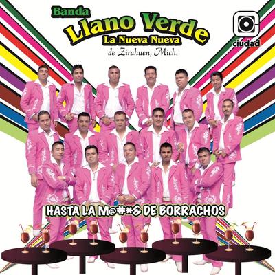 La Brujita By Banda Llano Verde's cover