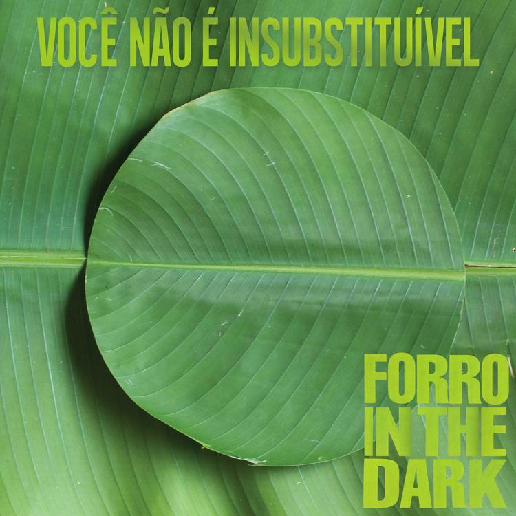 Forró In The Dark's avatar image