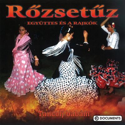 Ki Jart Itt, Ki Volt Itt By Rozsetuz Egyuttes's cover