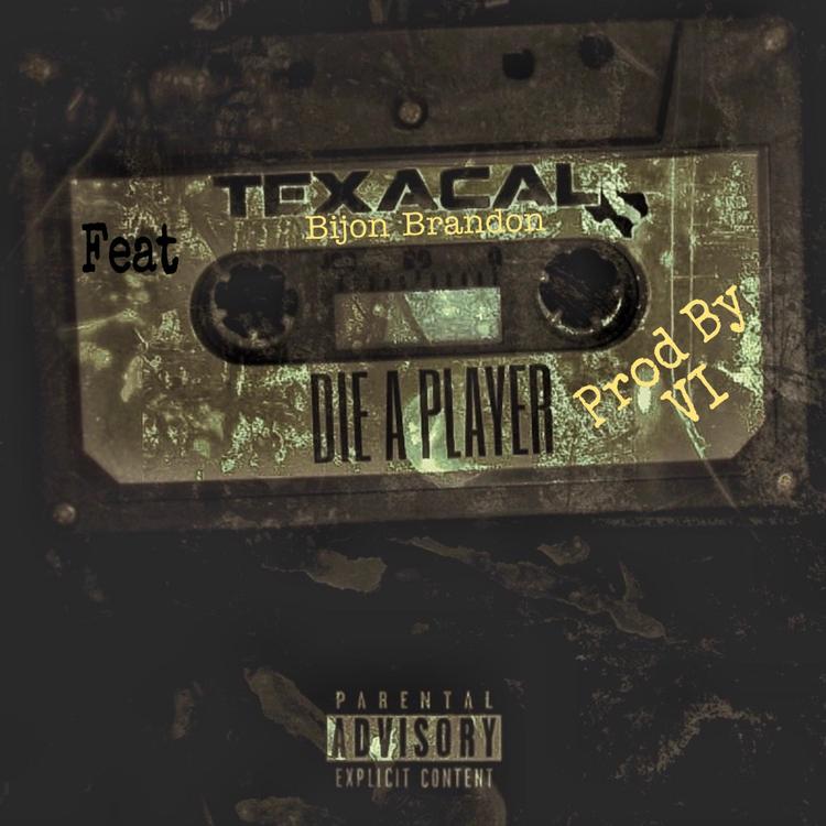 Texacal's avatar image