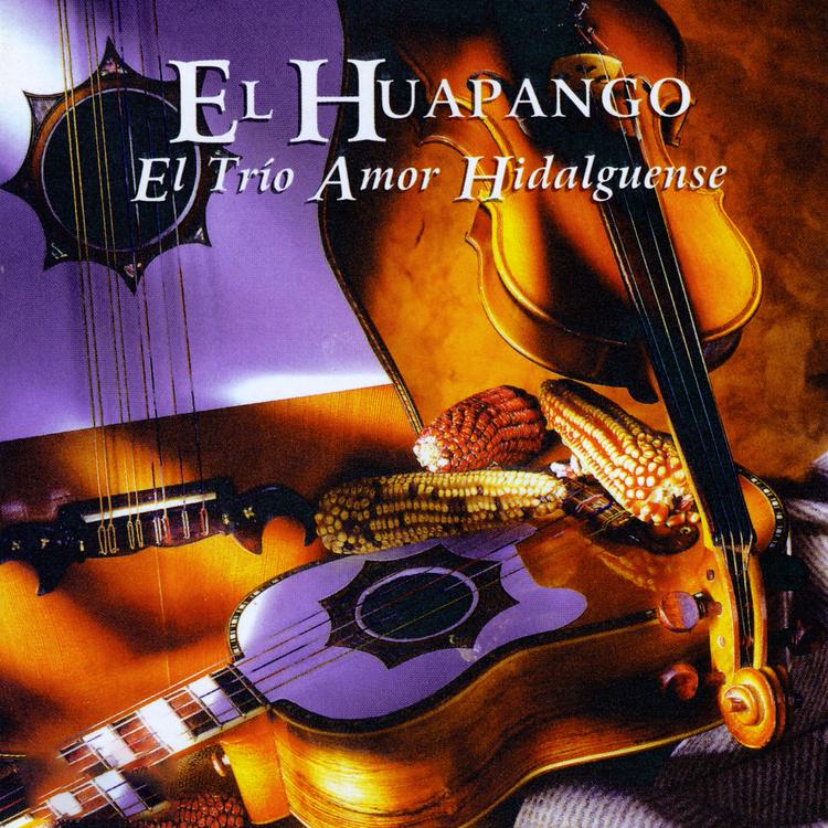 Trío Amor Hidalguense's avatar image