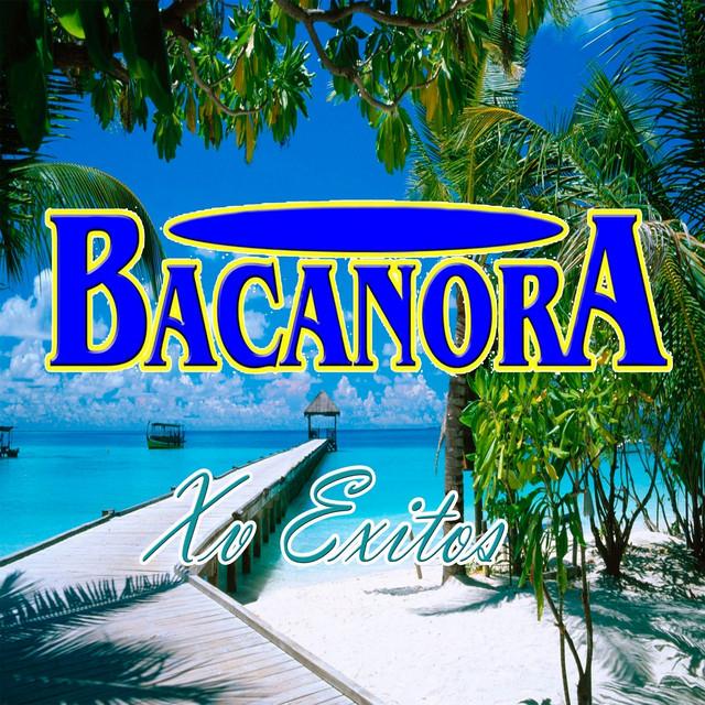 Grupo Bacanora's avatar image