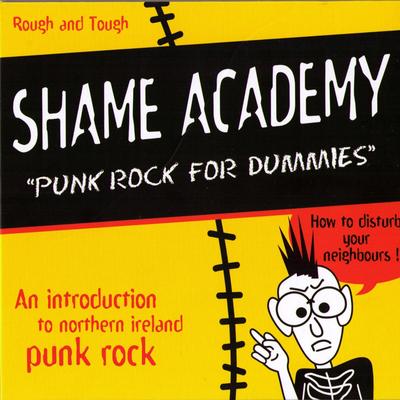 Punk Rock for Dummies's cover