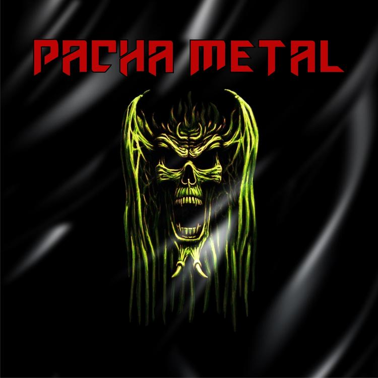 Pacha-Metal's avatar image