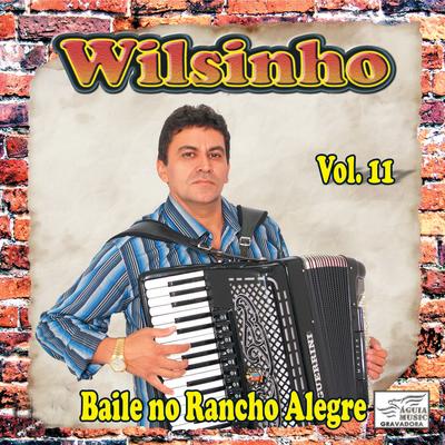 Tô Chegando no Bailão By Wilsinho's cover