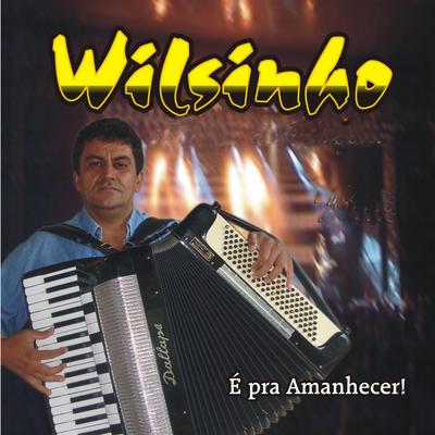 Gaita Gaúcha By Wilsinho's cover