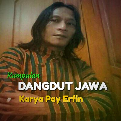 Pay Erfin's cover