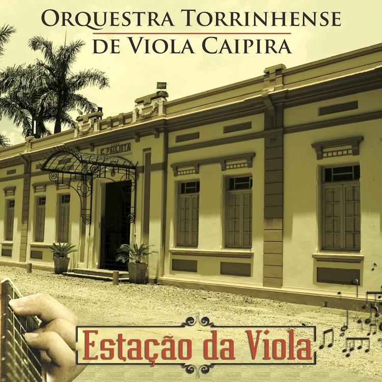 Orquestra Torrinhense de Viola Caipira's avatar image