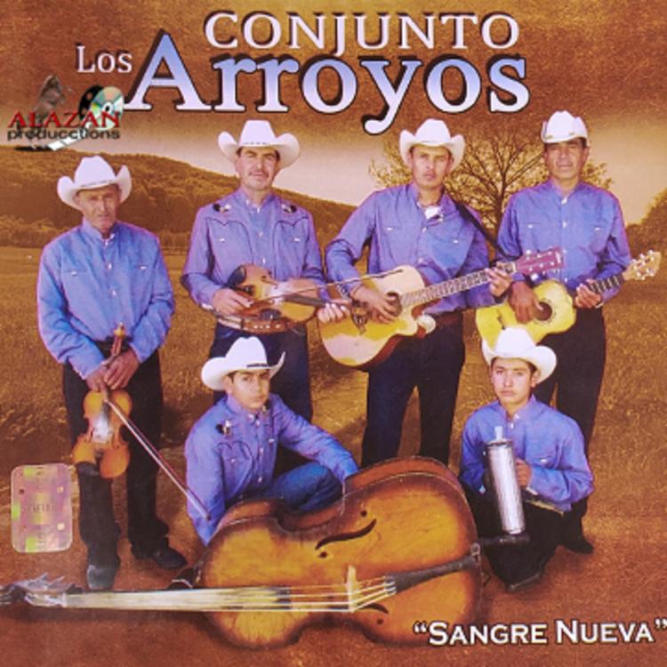 Conjunto Los Arroyos's avatar image