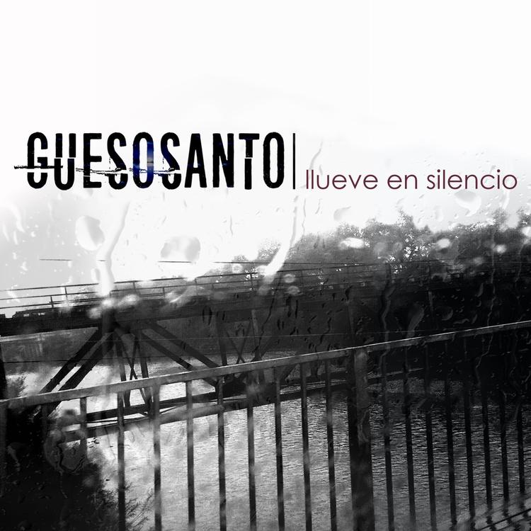 Guesosanto's avatar image