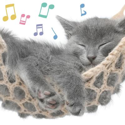 Cat Music's cover