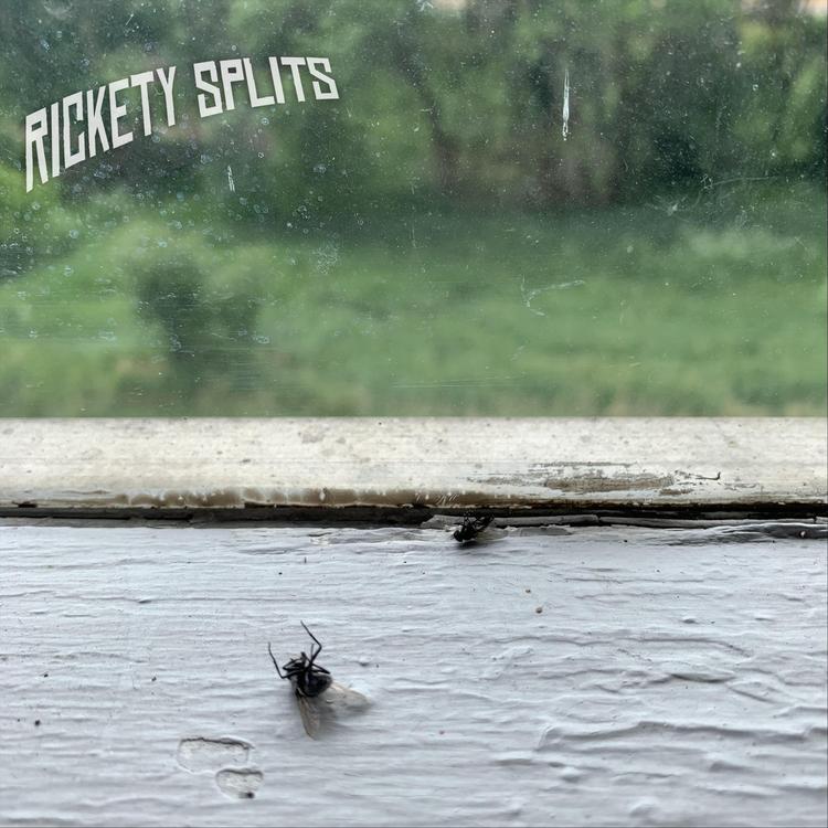 Rickety Splits's avatar image