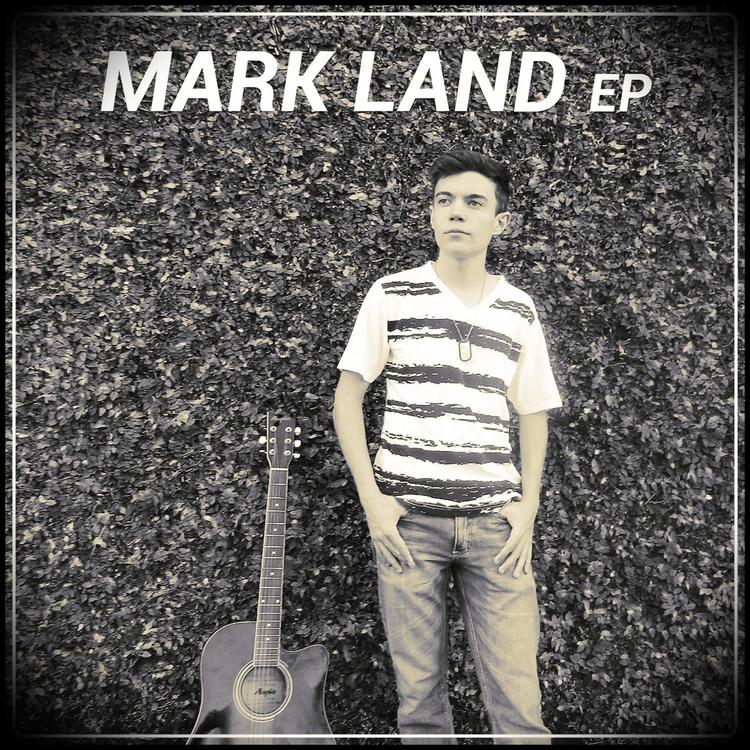 Mark Land's avatar image