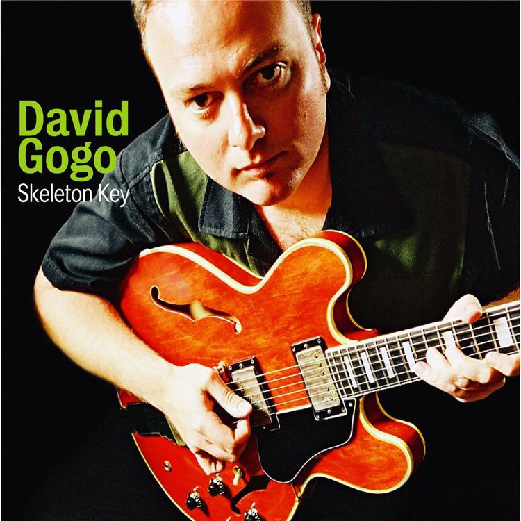 David Gogo's avatar image