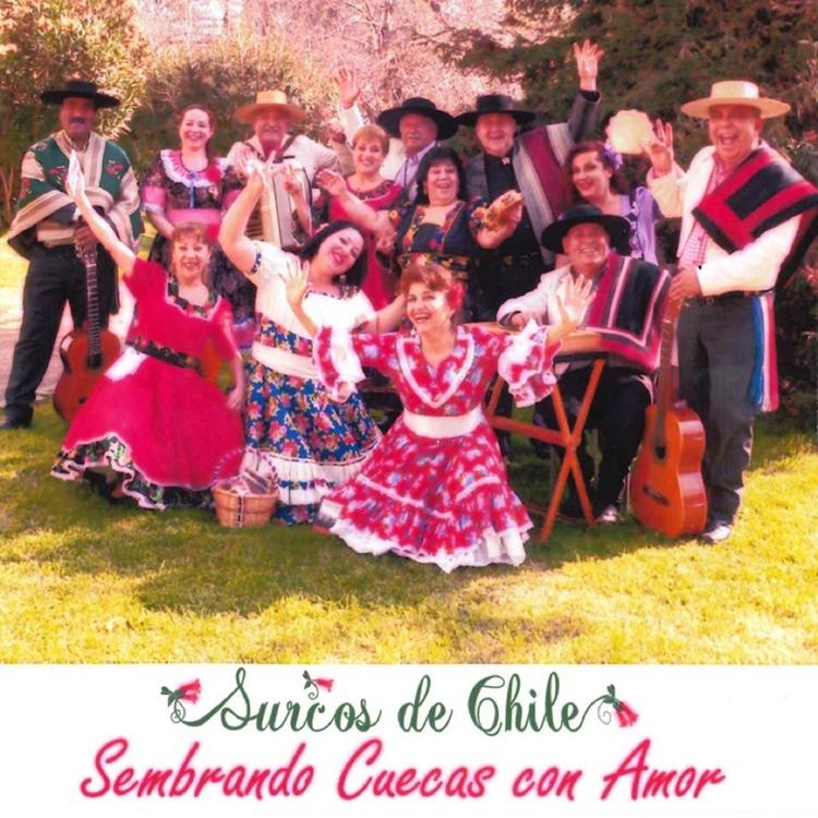 Surcos de Chile's avatar image