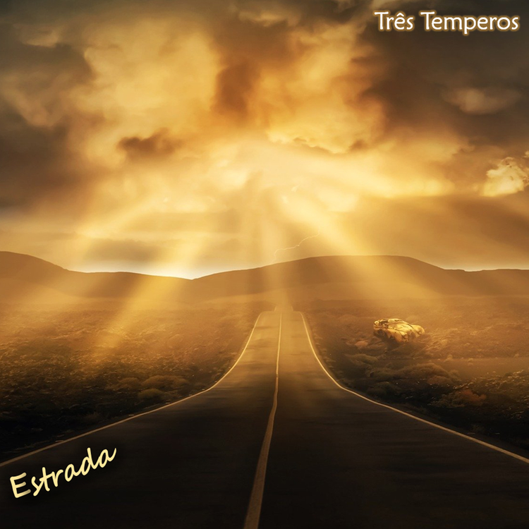 Três Temperos's avatar image