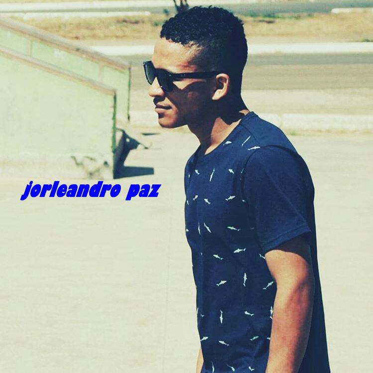 Jorleandro paz's avatar image