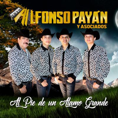 Alfonso Payan y Asociados's cover