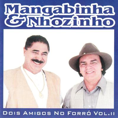 Solos de Acordeon - Dois Amigos No Forró, Vol. 2's cover