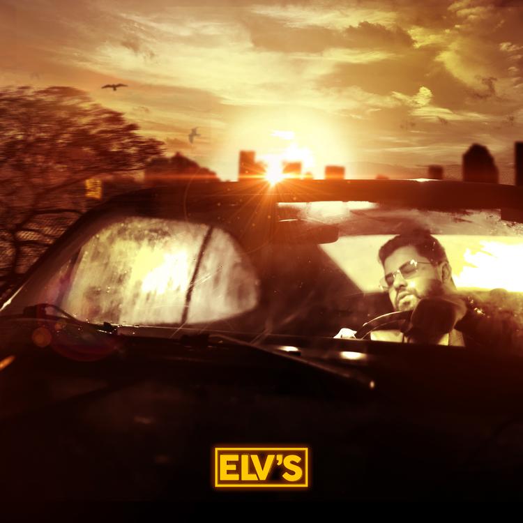 Elv's's avatar image