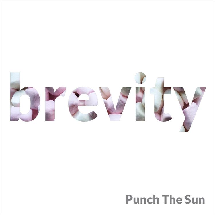 Punch The Sun's avatar image