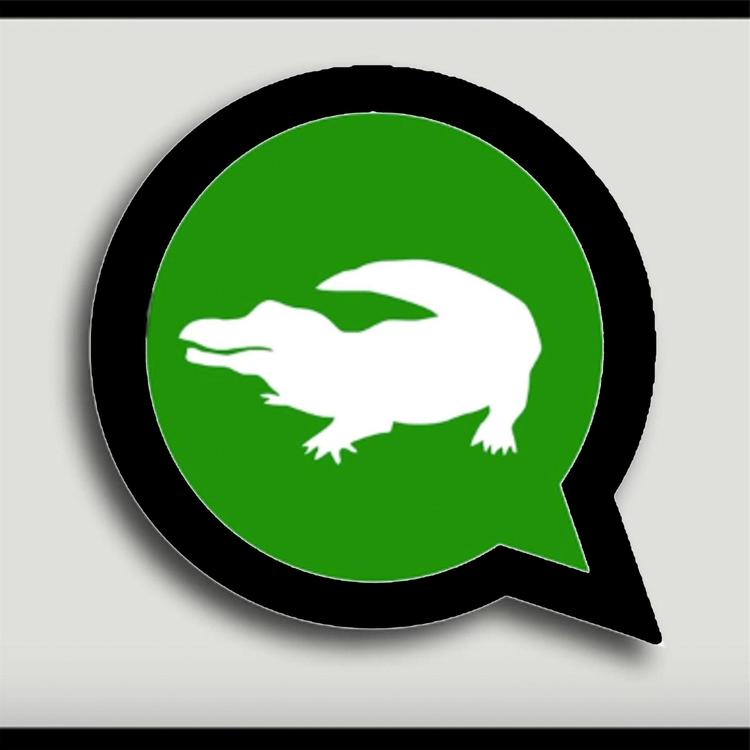 Lado Sul's avatar image