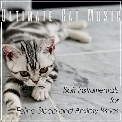 Cat Sleep Music's cover