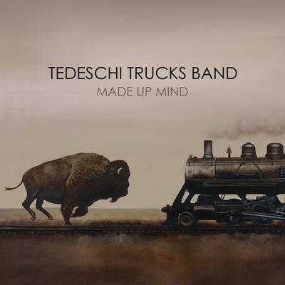 The Storm By Tedeschi Trucks Band's cover