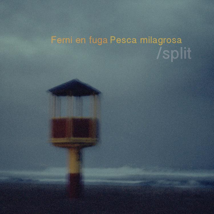 Ferni en Fuga & Pesca Milagrosa's avatar image