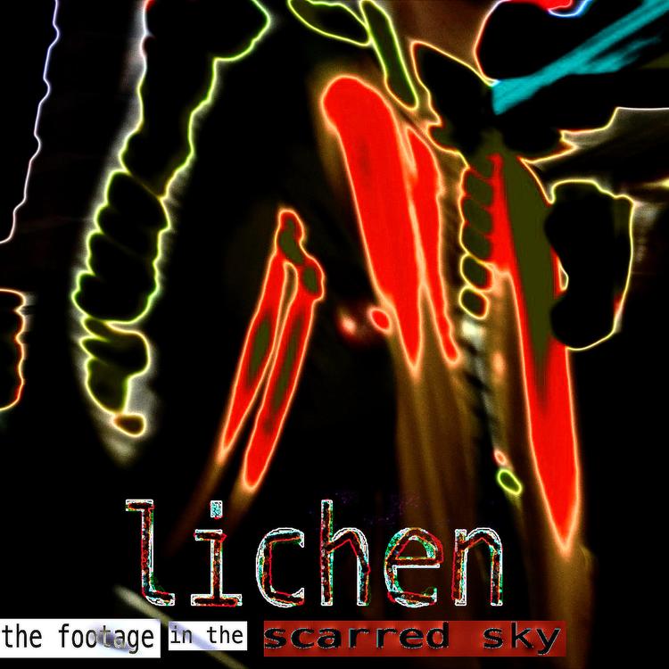 Lichen's avatar image