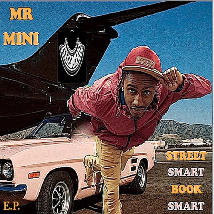 Mr Mini's avatar image