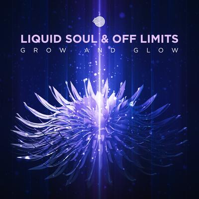 Grow & Glow By Off Limits, Liquid Soul's cover