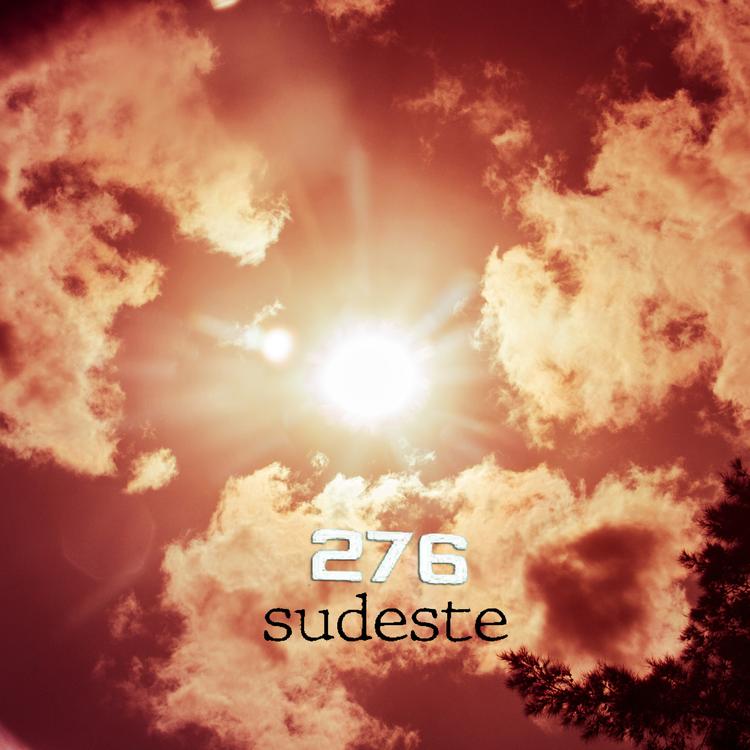 SUDESTE's avatar image