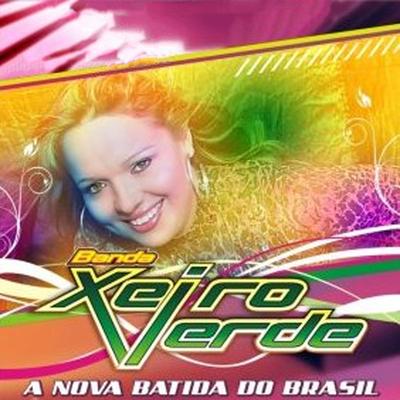 Vou Voar By Banda Xeiro Verde's cover