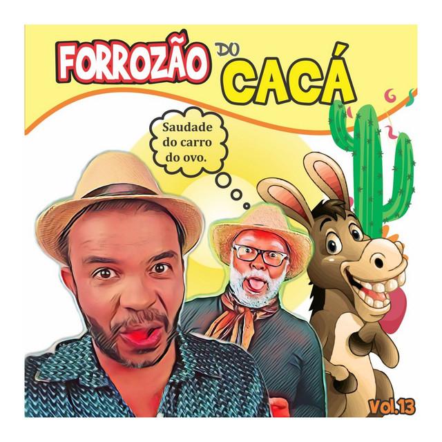 FORROZÃO DO CACÁ's avatar image