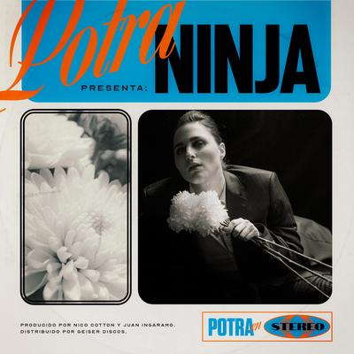 Ninja By Potra's cover