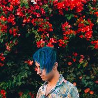 Luca Lush's avatar cover