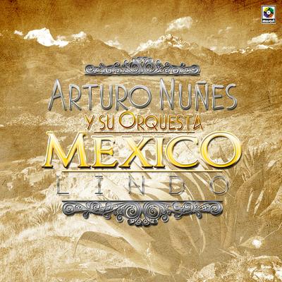 Arturo Nuñez Y Su Orquesta's cover