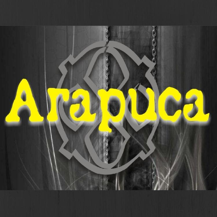 Arapuca's avatar image