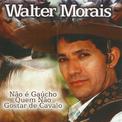 Um Bagual Corcoveador By Walter Morais's cover