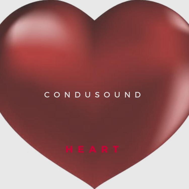 Condusound's avatar image