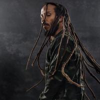 Ziggy Marley's avatar cover