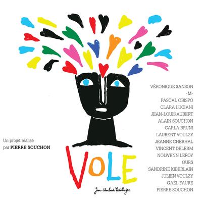 Vole (Version 2020)'s cover