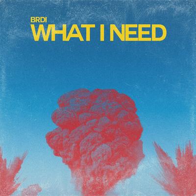 What I Need By BRDI's cover